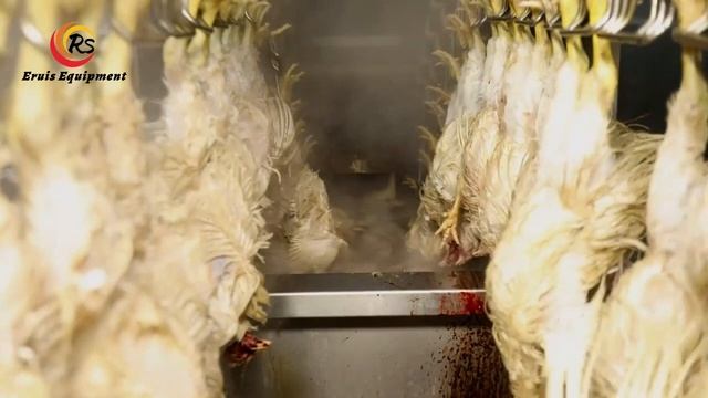 304 Stainless Steel Chicken Scalding Machine for Mass Production | Eruis смотреть онлайн