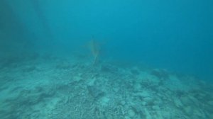 Мальдивы Nakai Dhiggiri Resort