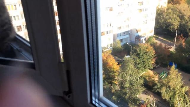 ВЛОГ: котики, вкусняшки, маникюр, золотая осень и как сделать уютное местечко дома *MsKateKitten смотреть онлайн