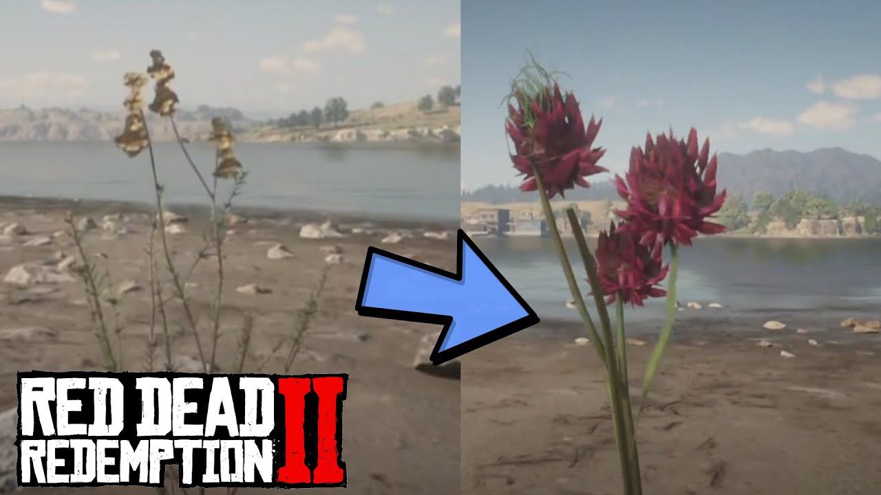 Соляной куст и Вороний чеснок: Вырезанные растения из Red Dead Redemption 2 смотреть онлайн