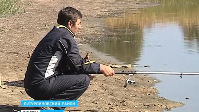 Эксперты белгородской лаборатории воронежские карпы и толстолобики здоровы смотреть онлайн