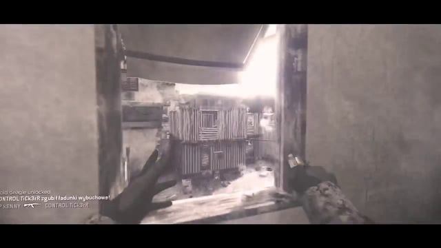 INSOMNIA | A CoD4 Promod Frag Movie by FLM смотреть онлайн