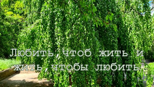 Любить, чтоб жить и жить, чтобы любить! Христианская поэзия смотреть онлайн