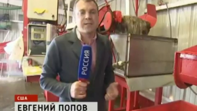 Жуть в Мексиканском заливе! смотреть онлайн