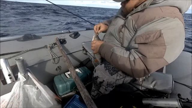 Ловля осеннего окунька на Свири смотреть онлайн