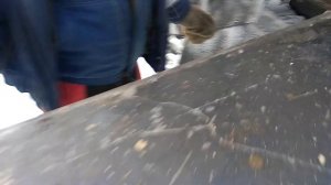 УПРАВЛЕНИЕ АВТОКРАНОМ / УЧИМСЯ ВМЕСТЕ