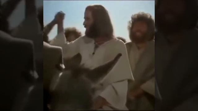 "Где растут маслины" песня. смотреть онлайн