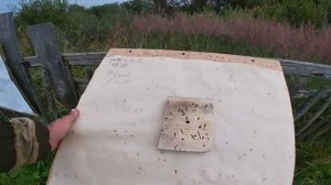 Сунар-35 на капсюле КВ-22, из мр-27 20-го калибра!!!