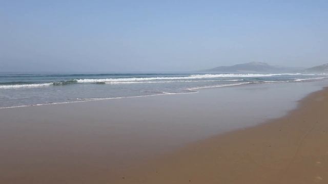 ?? Еду в Бельгию и Голландию Приглашаю Подписчиков на Кофе смотреть онлайн