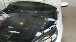 ПРАВИЛЬНАЯ МОЙКА ДВИГАТЕЛЯ ЛАДА VESTA 2019