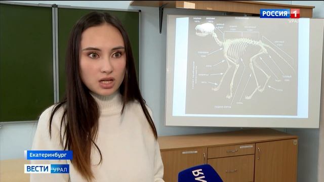 Ученики одной из школ Екатеринбурга по костям доисторических животных изучают палеонтологию смотреть онлайн