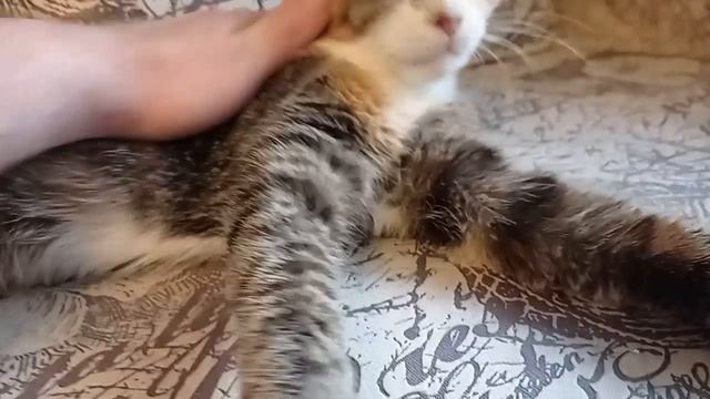  смотреть онлайн