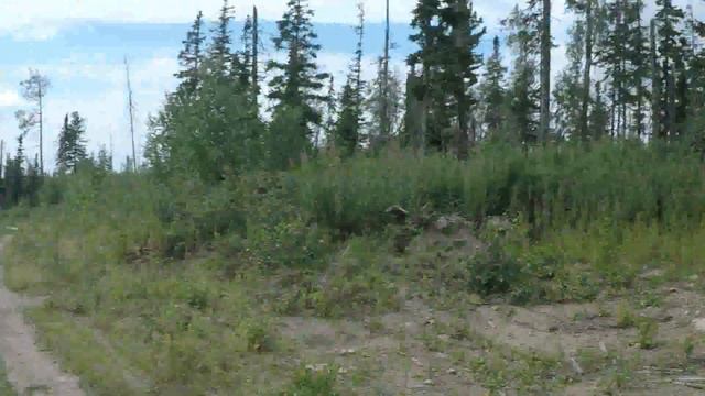 "Палатка, рюкзак, треккинговые палочки смотреть онлайн