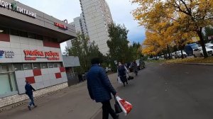 СтопХам-А в лицо не хочешь_