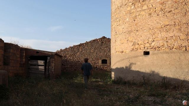 Pettineo, il paese degli ulivi secolari смотреть онлайн
