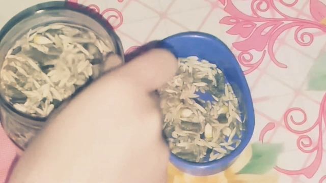 Как приготовить еду хомячку ?/Что едят хомяки