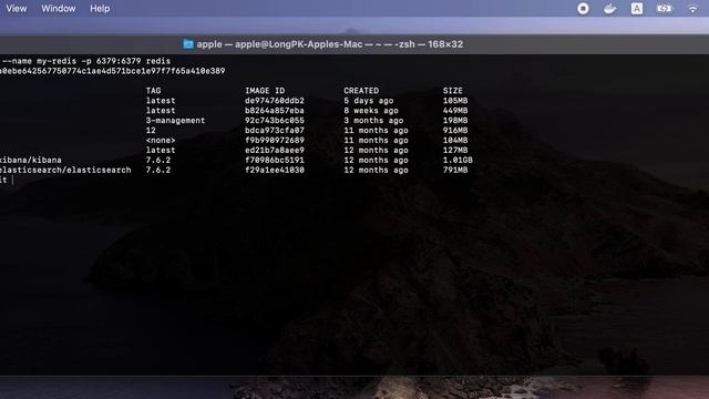 Set up redis using docker смотреть онлайн