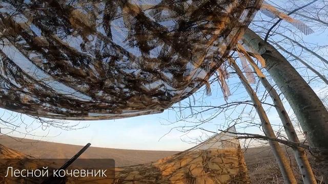 Это ШОК!!! Первые наши гуси за 3 года охоты! смотреть онлайн
