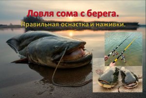 Ловля сома с берега. Правильная оснастка и наживки.