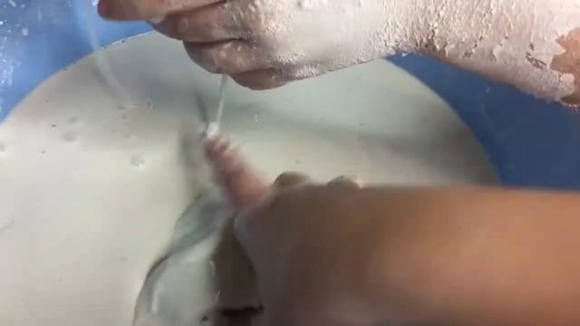 Неньютоновская жидкость. Крахмал и вода смотреть онлайн