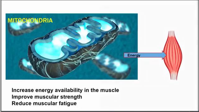 Жить молодо! Взрослеть молодо! С нами это возможно! смотреть онлайн