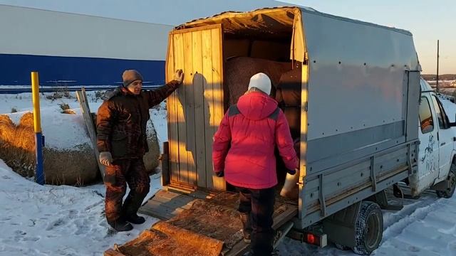 Я взяла себе ещё одну лошадь/Везём кобыл из Ирбита смотреть онлайн