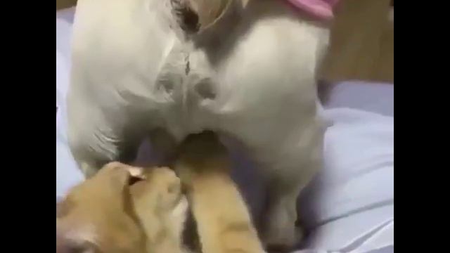 Давай поиграем? *-* смотреть онлайн