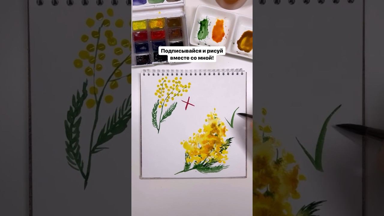 Как быстро и легко нарисовать мимозу - урок для новичков! Со мной рисовать сможет каждый! смотреть онлайн