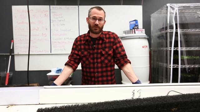 Planting Strawberries in ZipGrow™ Towers [Rootstock] смотреть онлайн