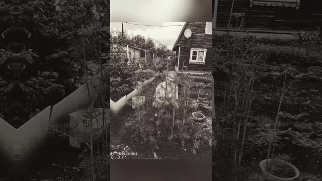 Готовлюсь к зиме 🤭😅