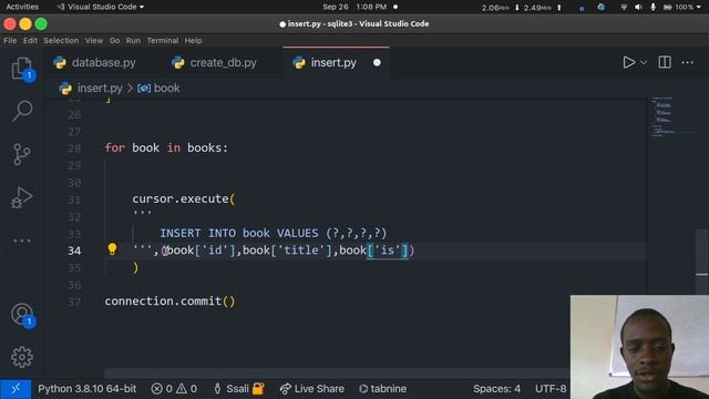 Using SQLite3 in Python. смотреть онлайн