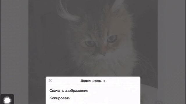 Как скачать изображение с Pinterest смотреть онлайн