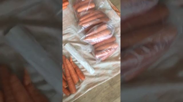 Как у меня хранятся морковь смотреть онлайн