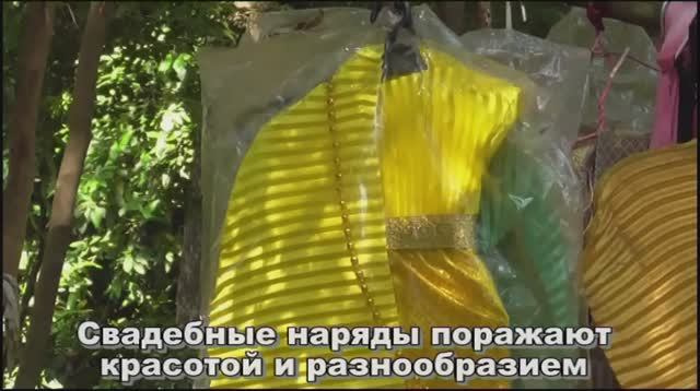 Страшные подарки духам леса смотреть онлайн