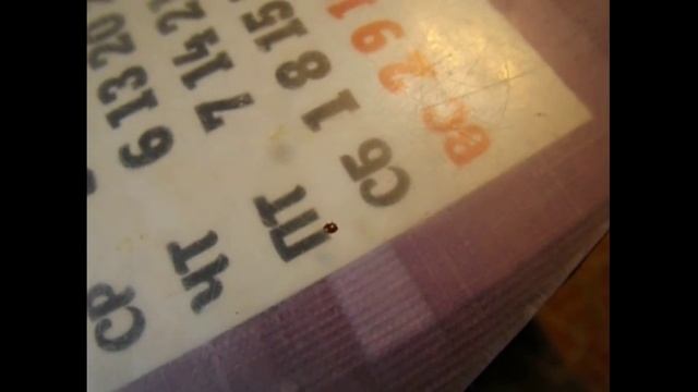 клещ Варроа на пчелиной матке бакфаст - выживет матка или погибнет ? смотреть онлайн