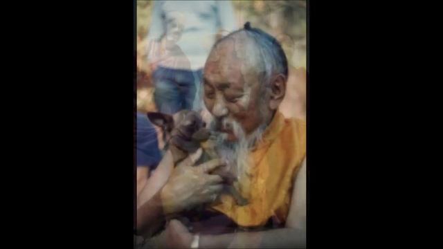 Vajrassattva mantra by Chagdud Tulku Rinpoche смотреть онлайн