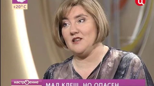 Мал клещ, но опасен смотреть онлайн