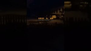 Герань прилет