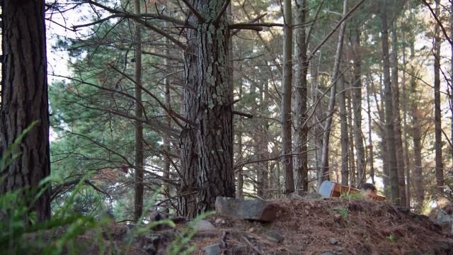 КАК NPC В ИГРАХ ОКАЗЫВАЮТСЯ "ТАМ" РАНЬШЕ ВАС - EPIC NPC MAN на Русском смотреть онлайн