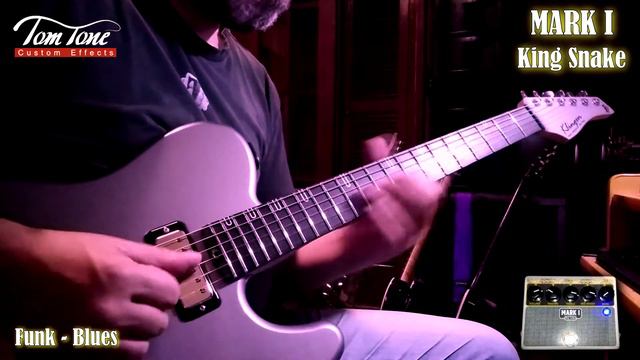 Mark I King Snake In Funk Blues Style Played by Mauricio Cailet смотреть онлайн