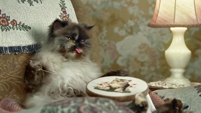 Cravendale, Cats with Thumbs смотреть онлайн