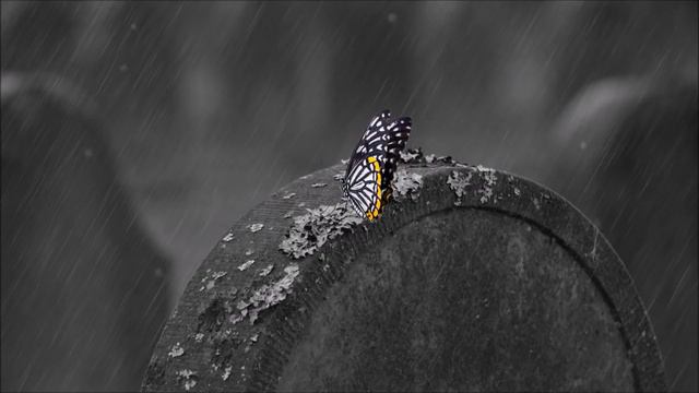 Most Emotional Instrumental Music Relaxing Music Sad Piano Violin Songs Playlist Mix Vol 3 2 смотреть онлайн