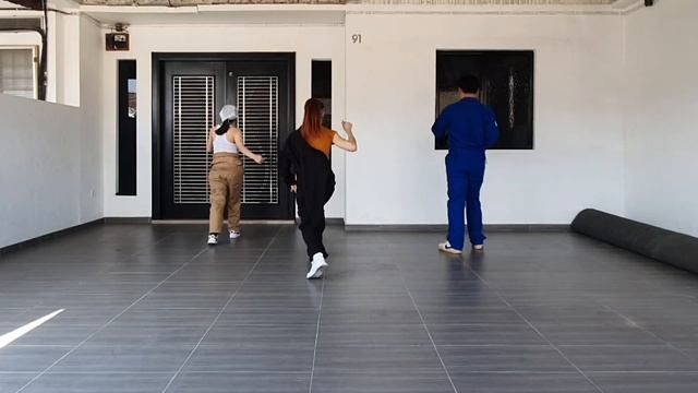 Danger Twins Line Dance Demo смотреть онлайн