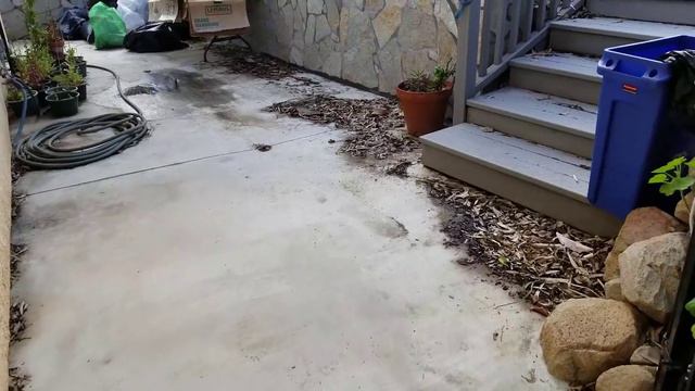 50 Fruit Trees! My New SoCal Home Garden Tour For 2019, Veggie Garden, Succulents, Rock Garden