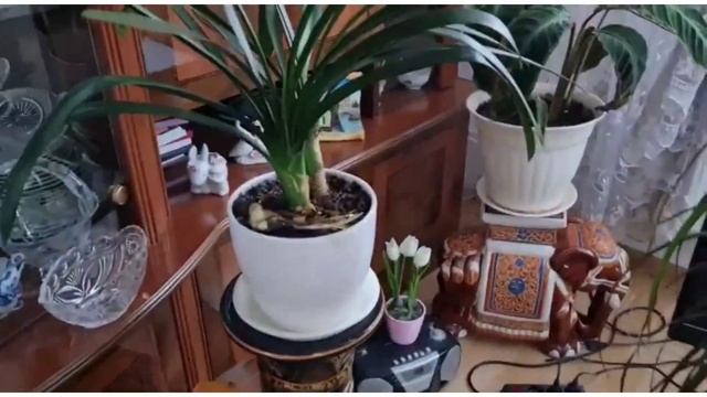 Если взять Любовь и Верность,к ним добавить чувство Нежность,все умножить на года,то получится-СЕМЬ