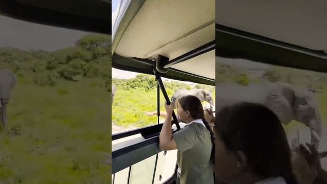 сафари тур из Занзибара смотреть онлайн