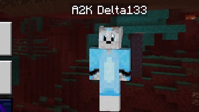 Two Furry Friends on Minecraft смотреть онлайн