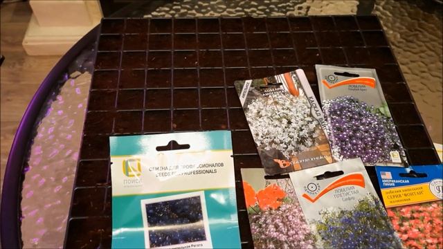 Лобелия- изящный цветок для сада!Простой способ посадки лобелии без пикировки! Всходы лобелии и ухо смотреть онлайн