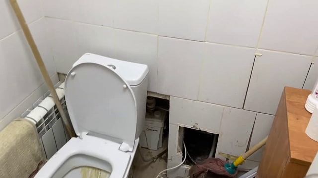 Как выбрать помещение под Сити Ферму? | Выращивание Микрозелени и Витграсс | Народные Семена смотреть онлайн