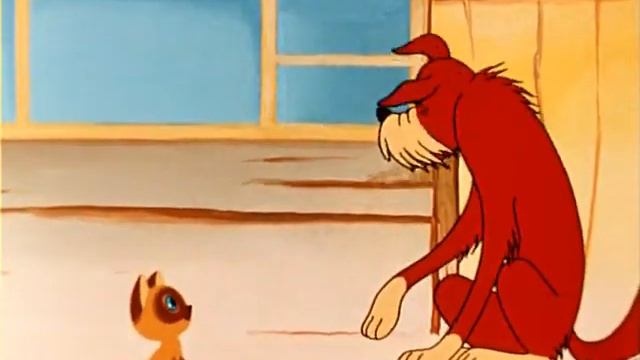 кот по имени ГАФ ГАФ.